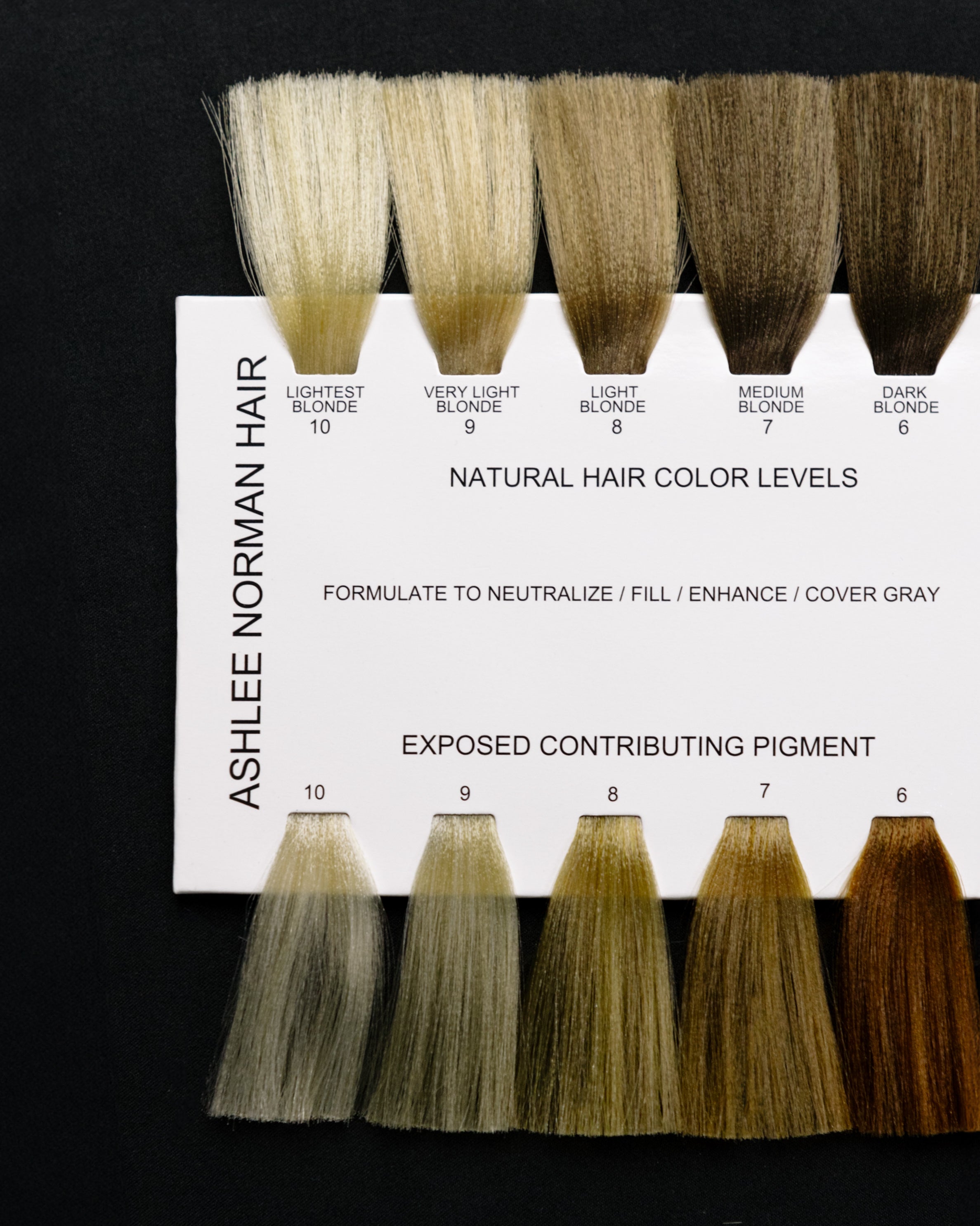 Consultation & Formulation Swatch Card
